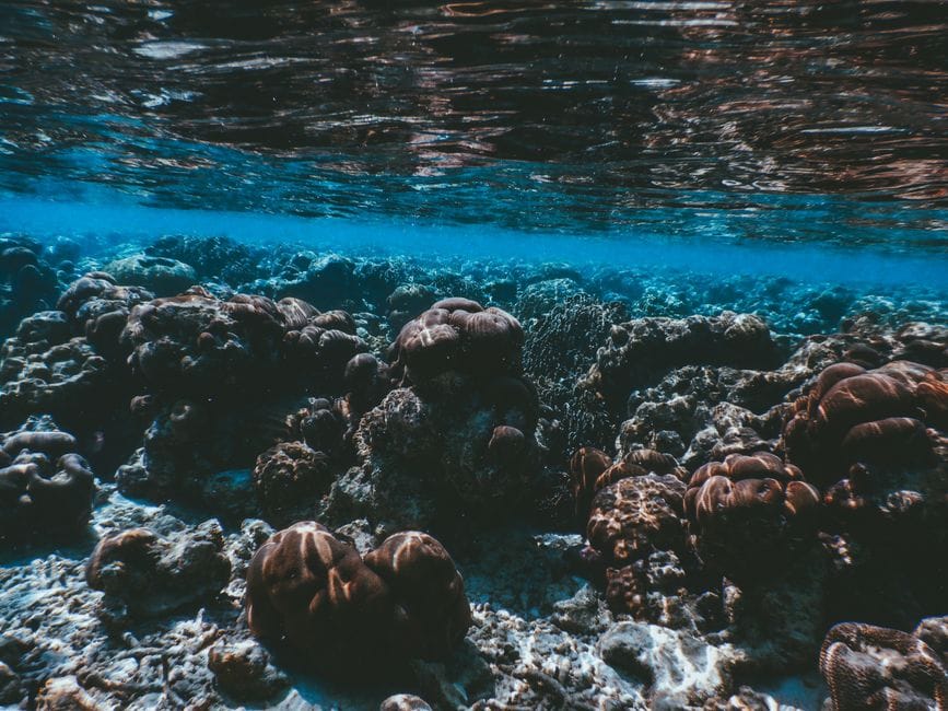 Палуба и кораллы под водой Мальдивы
